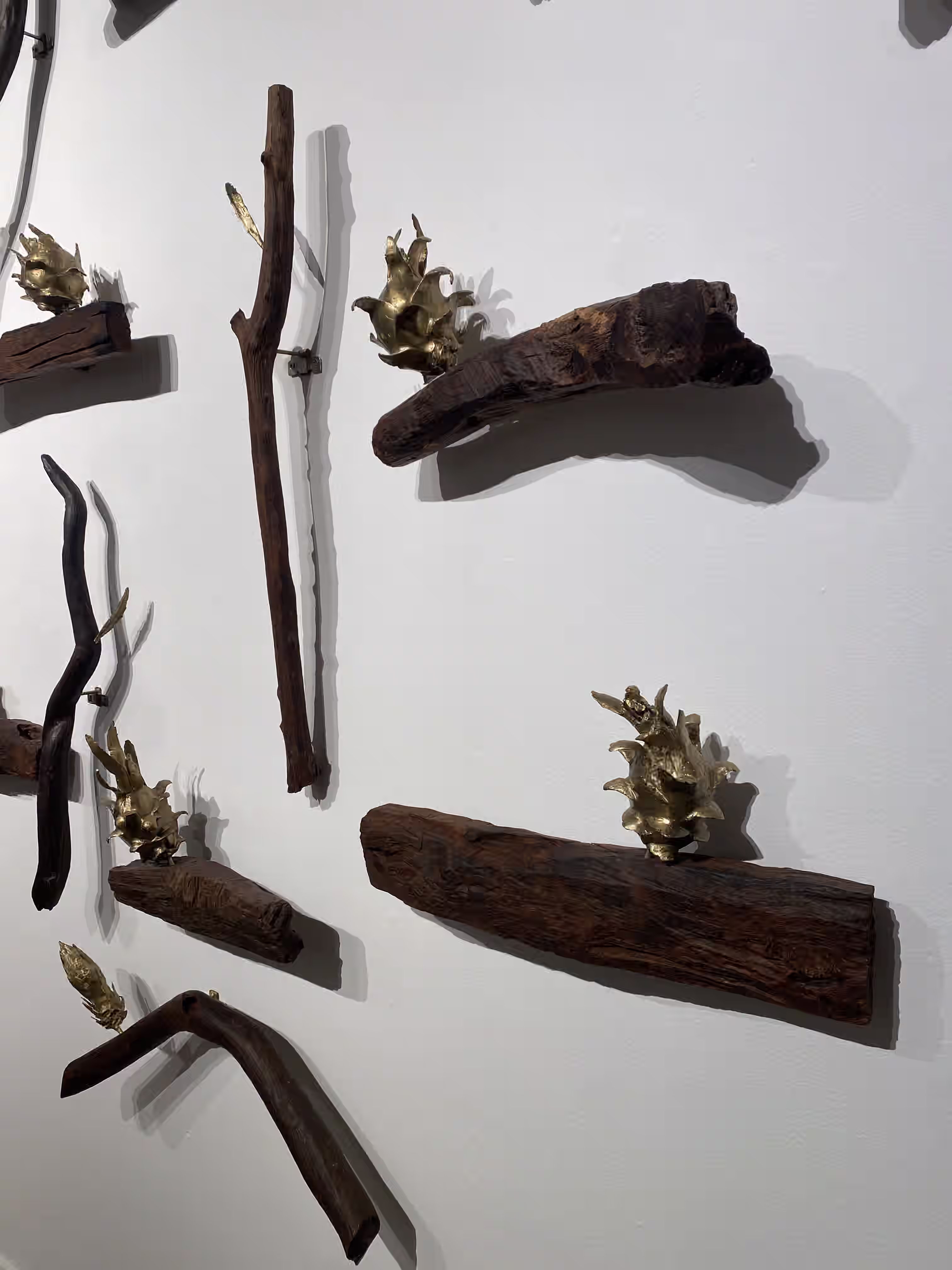 Pieces of driftwood hung on the wall are transformed into elegant sculptures of pitaya branches, whose fruits, at different stages of maturity, are made of brass.